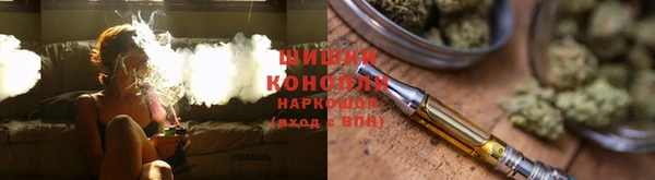 сатива Алексеевка