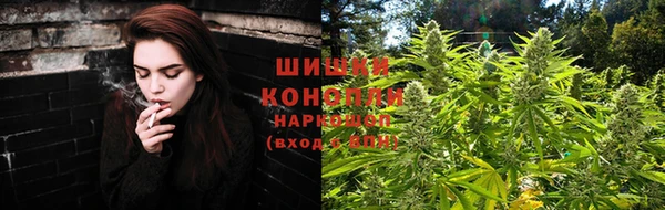 ПСИЛОЦИБИНОВЫЕ ГРИБЫ Кодинск